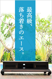 最高級、落ち着きのエース。