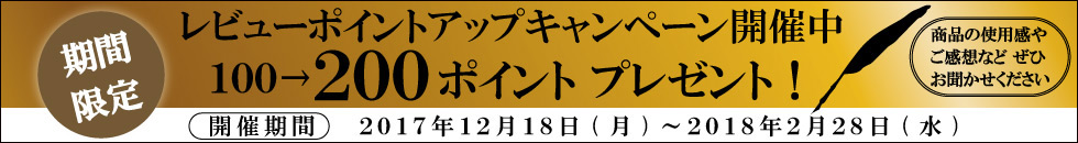 レビューポイントアップキャンペーン2017年12月18日～2018年2月28日まで