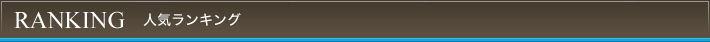 人気ランキング