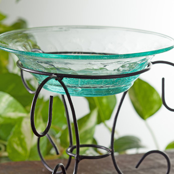 �A�C�A���X�^���h�t���ő��ړI�Ɏg����O���X�{�E��