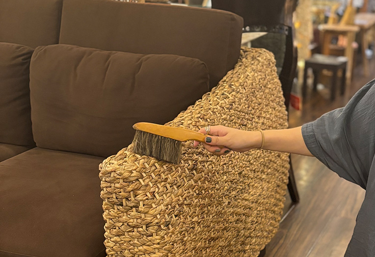 ブラシでヒヤシンスのほこりを取り除く様子