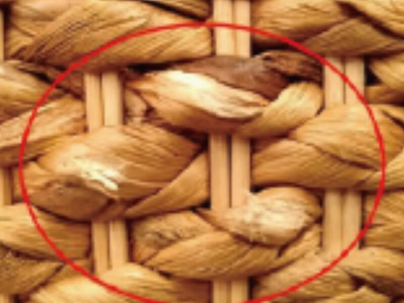 補修前：ヒヤシンスの色が薄くなった状態