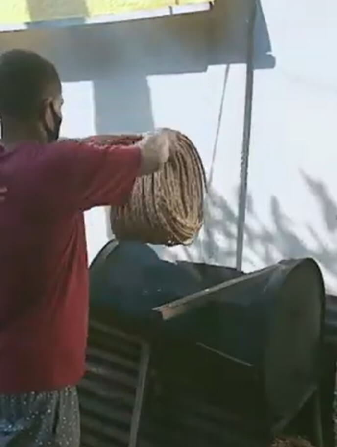 ウォーターヒヤシンスの殺虫処理の様子