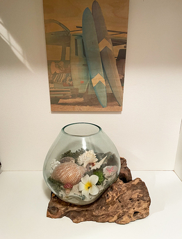 Welcome!ネコとカエルがお出迎え♪玄関には海をイメージした流木バリガラス