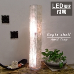 【47886】SHELL LAMP SILINDER W/GLASS