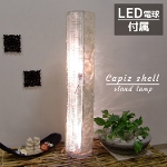 y47886zSHELL LAMP SILINDER W/GLASS