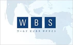 WBS