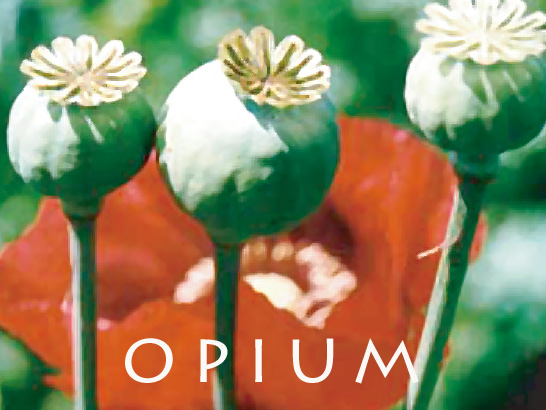 ★特売品★【水晶さざれ✴お香コーンタイプ】♥ 楽天市場】お香 浄化 コーンの通販