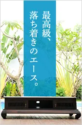 最高級、落ち着きのエース。