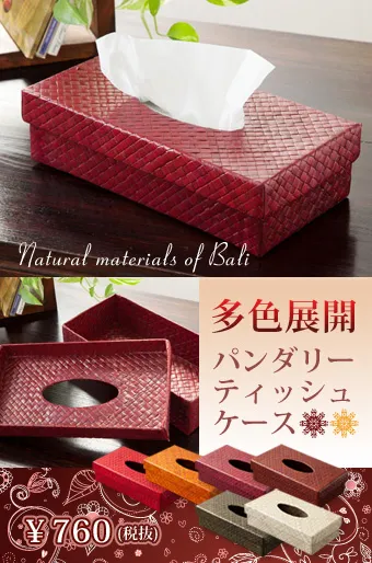 多色展開パンダリーティッシュケース